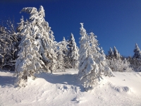 Image de 2012-12-02-chronique-roi-liche