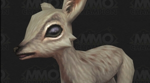 Image de biche-wow