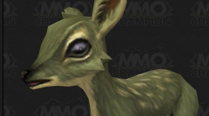 Image de biche-wow