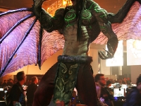 Image de blizzcon-galerie-2