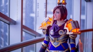 Image de cosplay-paladin