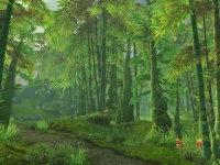 Image de foret-jade