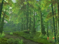 Image de foret-jade