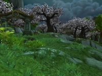 Image de foret-jade