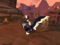 Image de gardien aile