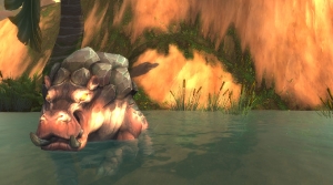 Image de Gorgrond