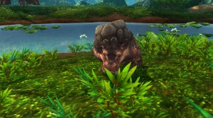 Image de Gorgrond