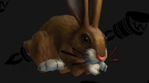 Image de lapins