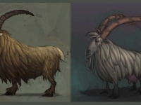 Image de mop-races