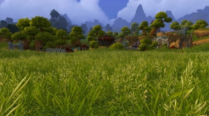 Image de nagrand