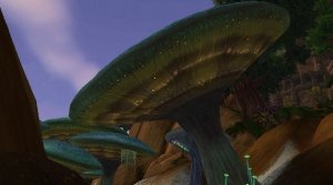 Image de Nagrand