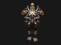 Image de paladin-t14