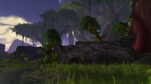 Image de tanaan