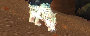 Ankha du Mont Hyjal