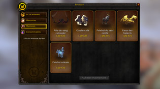 Interface pour les montures de la boutique