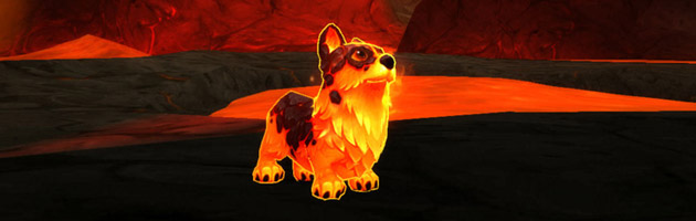 La mascotte Corgi du Magma