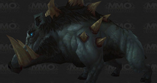 Sanglier de Draenor