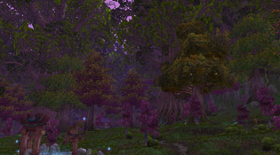 La nuit à Teldrassil actuellement