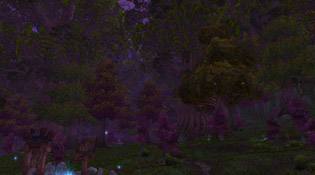 La nuit à Teldrassil au patch 6.2