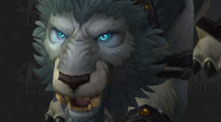 Forme Druide Worgen