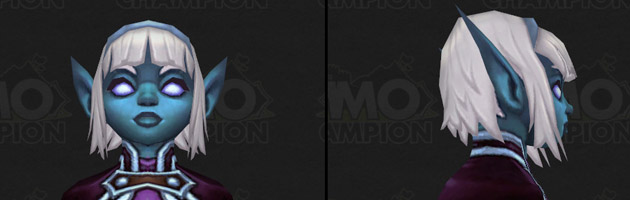 Modèle Elfe Nightborne dans Legion