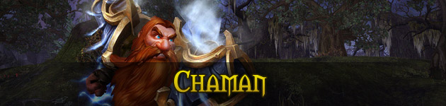 Les changements apportés au Chaman à Legion