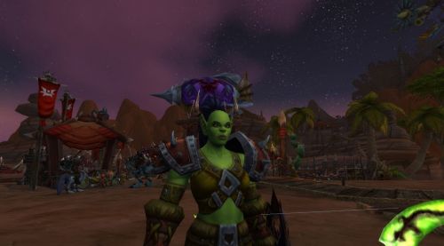 Image de Journée des gardes volontaires Horde