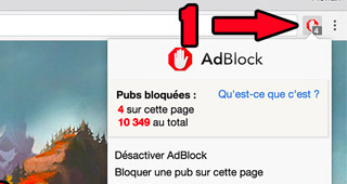 Cliquez sur l'icone du bloqueur