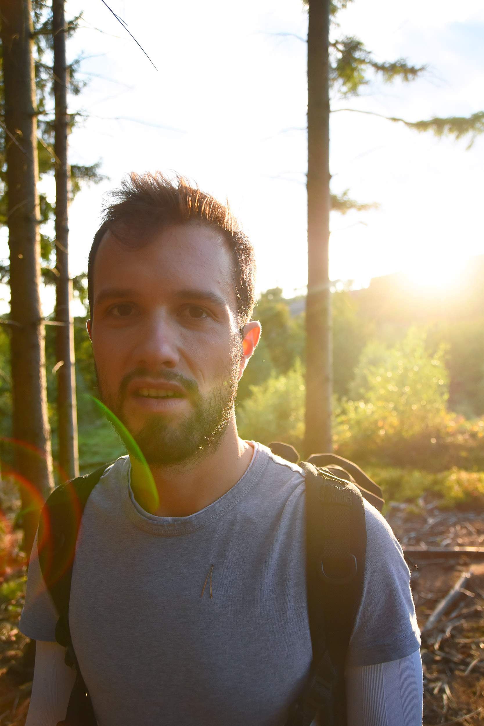 Florian Henn (Mamytwink) dans un forêt au coucher du soleil