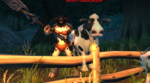 Image de Cow level dans WoW