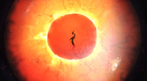Image de Cercle Azshara N'Zoth