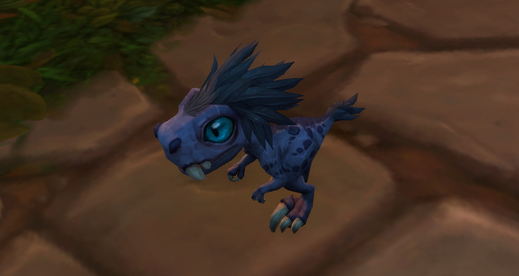 Bébé raptor zandalari, mascotte BFA lors d'un combat de mascottes