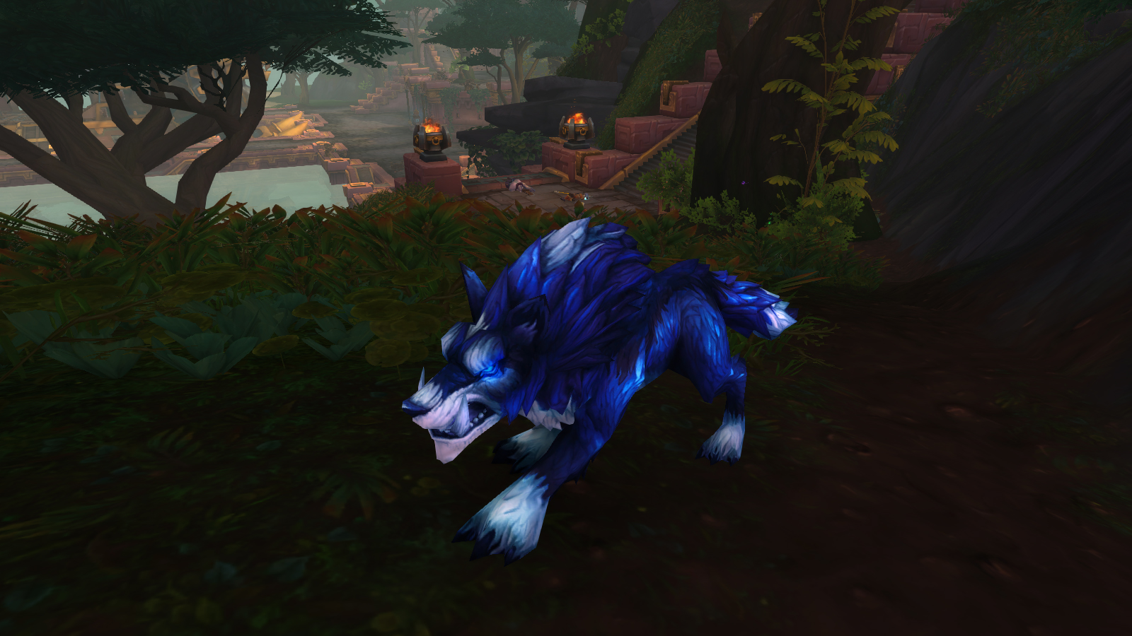 Le loup Fils de Xolotal à Zuldazar