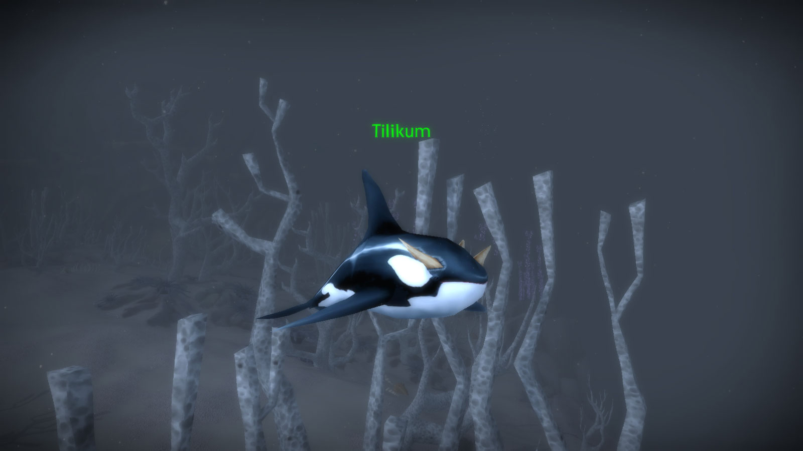 Tilikum