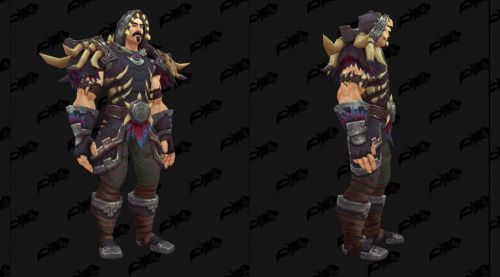 Image de Ensemble d'armure donjons zandalar