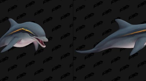 Image de Modèles de dauphins - Battle for Azeroth