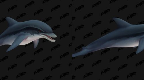 Image de Modèles de dauphins - Battle for Azeroth