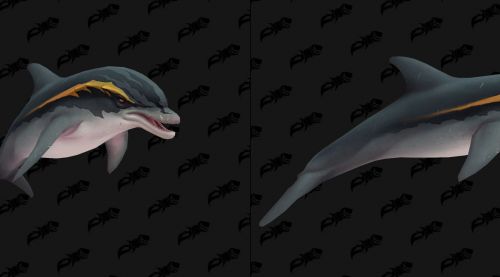 Image de Modèles de dauphins - Battle for Azeroth