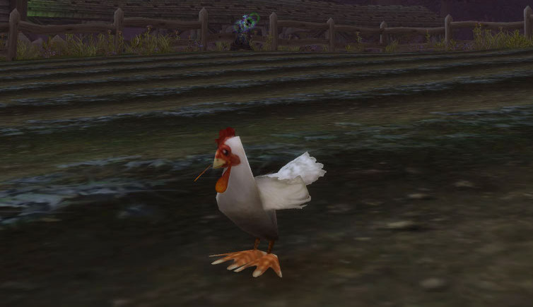 Modèle de poulet au patch 7.36.5