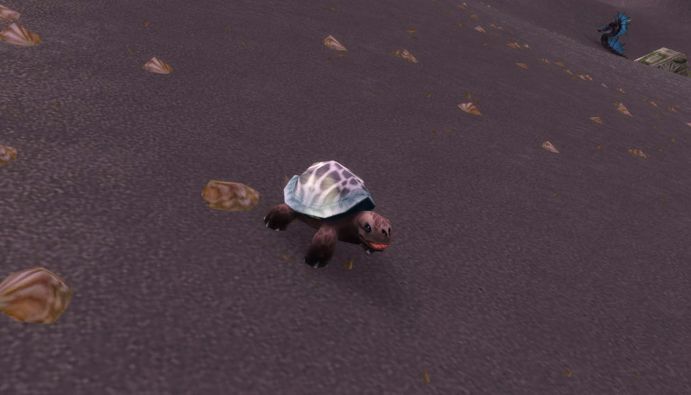 Modèle de bébé tortue au patch 7.3.5