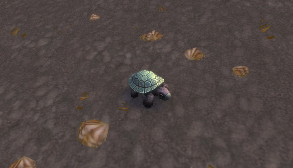 Modèle de bébé tortue au patch 8.0