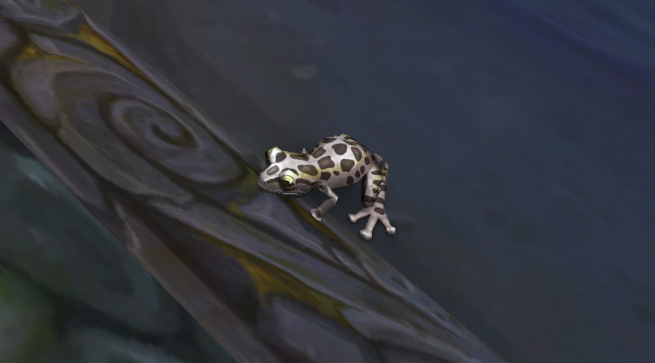 Modèle de grenouille au patch 8.0