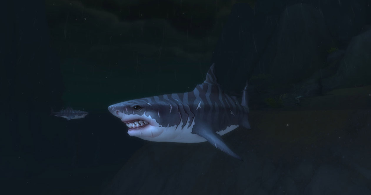 Modèle jeune requin au patch 8.0