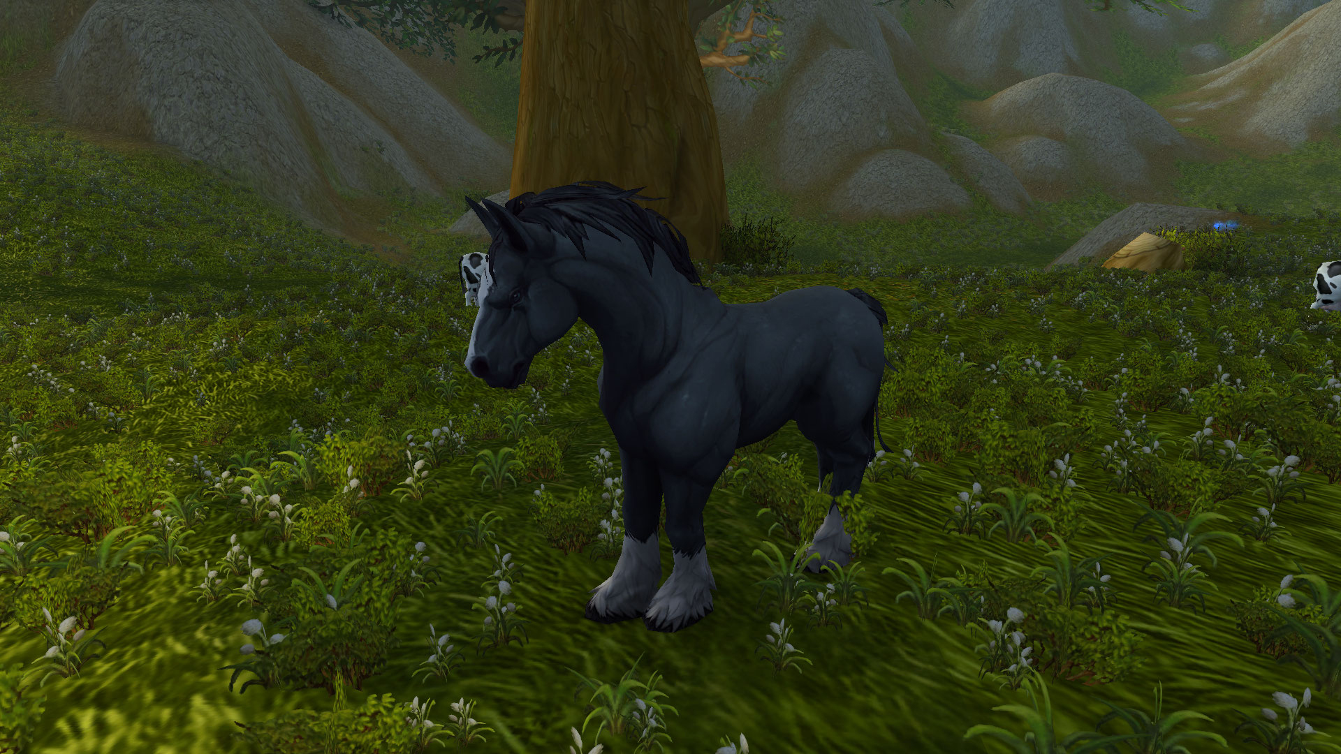 Cheval des montagnes rapide - Battle for Azeroth