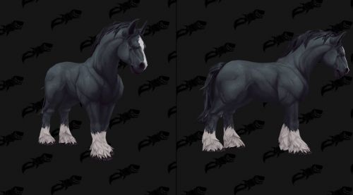 Image de Montures chevaux Battle for Azeroth
