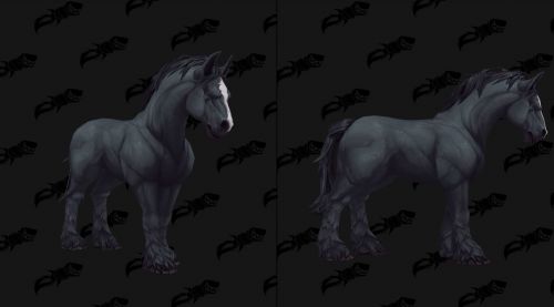 Image de Montures chevaux Battle for Azeroth