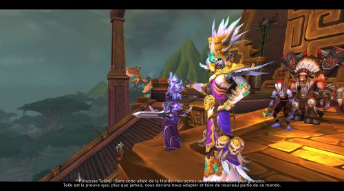 Image de Cutscene Vol'jin Talanji Au Repos des Esprits