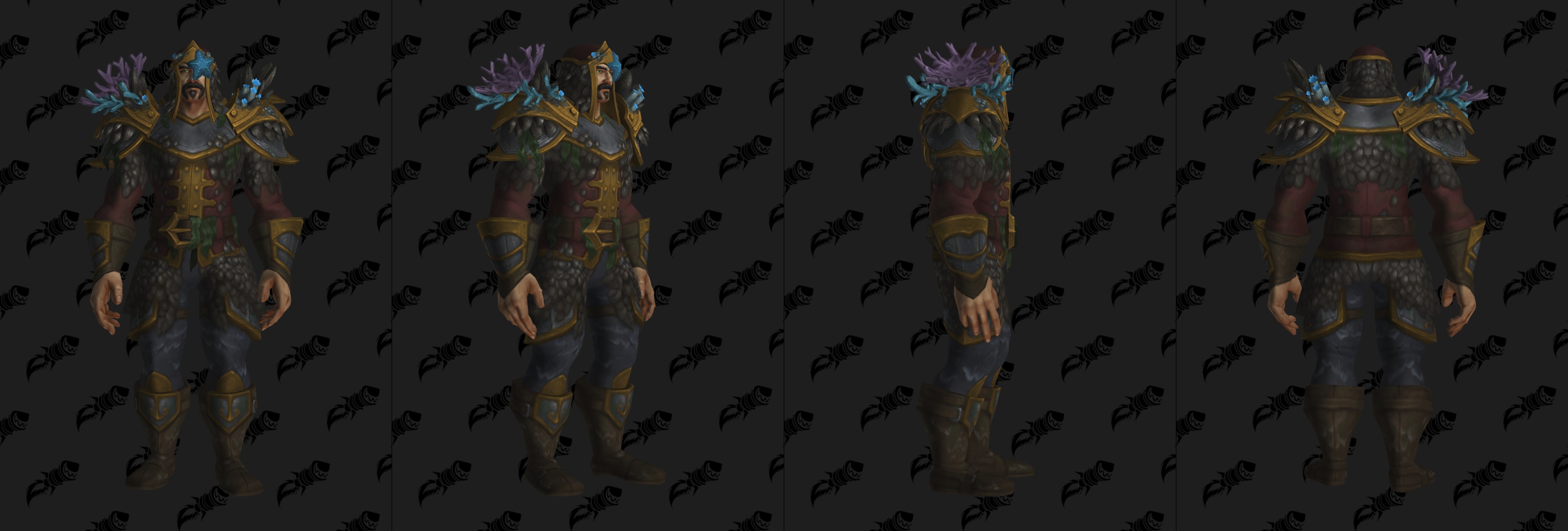 Set d'armure Aspirant en mailles (Horde)