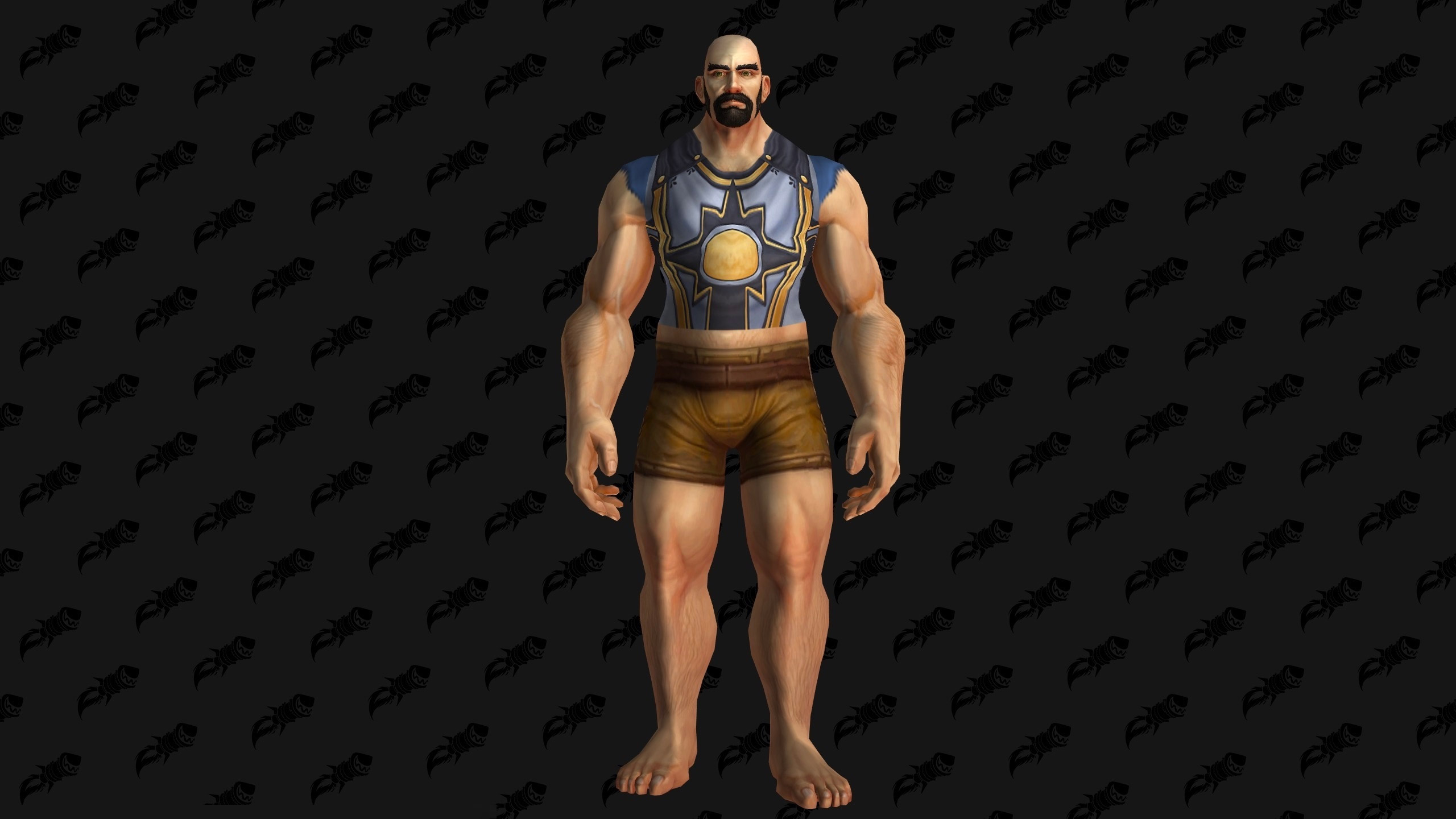 Modèle de chemise au patch 8.1.5