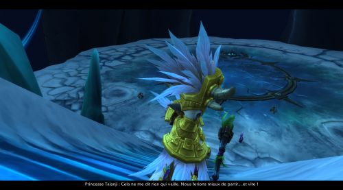 Image de Esprit Vol'jin 8.1.5 Roi-liche 2